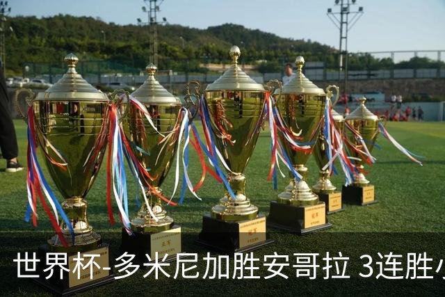 世界杯-多米尼加胜安哥拉 3连胜小组第一晋级